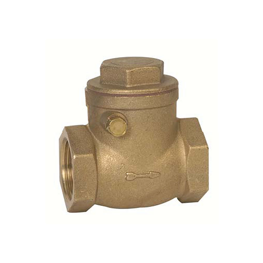 VALVULA RETENCION CHAPALETA 2.1/2